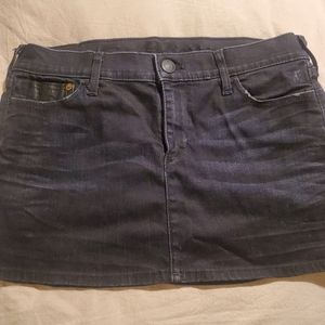 True Religion Skirt